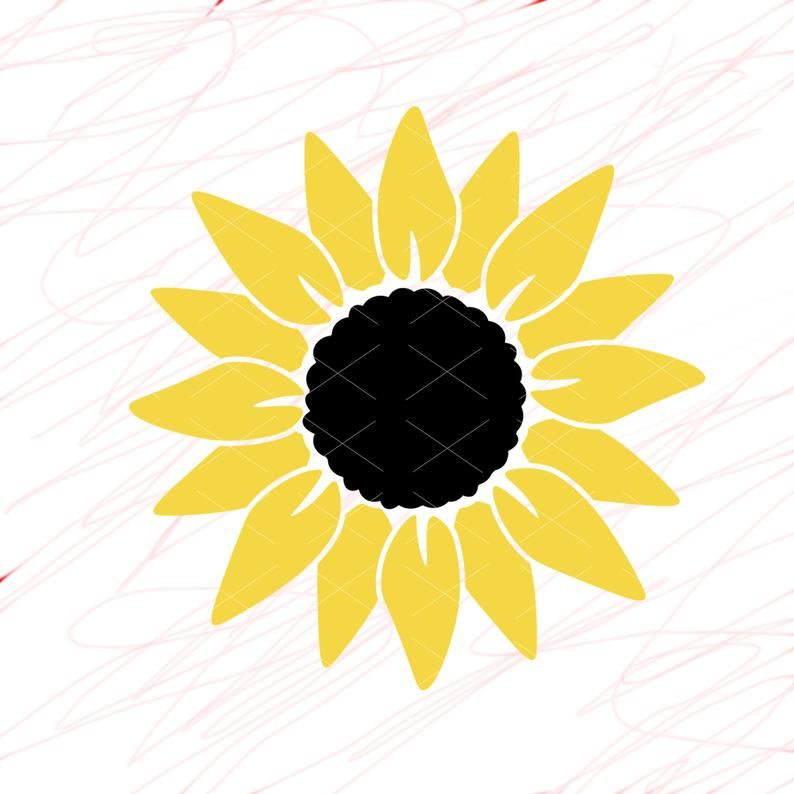 Stencil sunflower svg Digital Files Instant Download DXF Silhouette