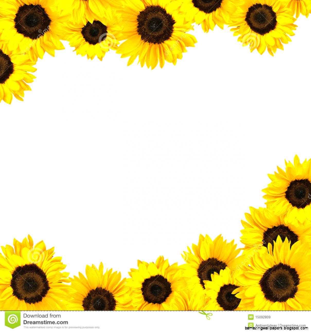 Sunflower Border Clipart | Amazing Wallpapers