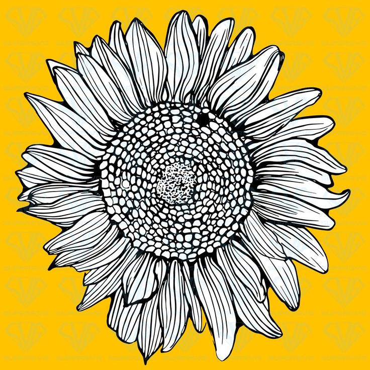 Sunflower Svg Files For Silhouette Files For Cricut Svg Dxf Eps Png